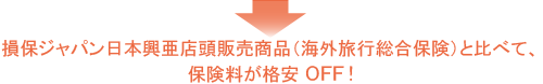 格安保険料