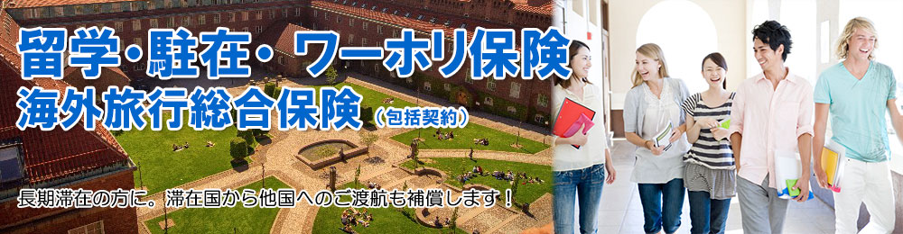 3ヶ月超~2年間までの長期滞在の方に。滞在国から他国へのご渡航も補償します!