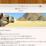 保険プラスで海外旅行保険をご加入いただいたお客様のご紹介｜その２