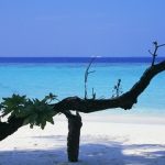 モルディブの医療事情とは？