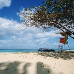 ハワイの衛生・医療事情とは？