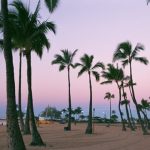 グアムでの安全の手引き #３