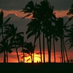 海外旅行者下痢症とは？