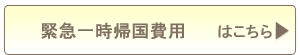 保険料表緊急一時帰国費用