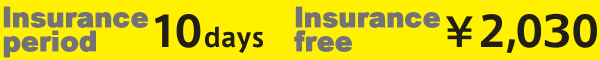 The following is an example of an insurance premium